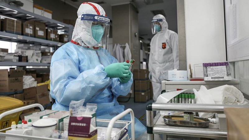 Có 2 chủng virus Corona khác nhau bạn cần biết 2