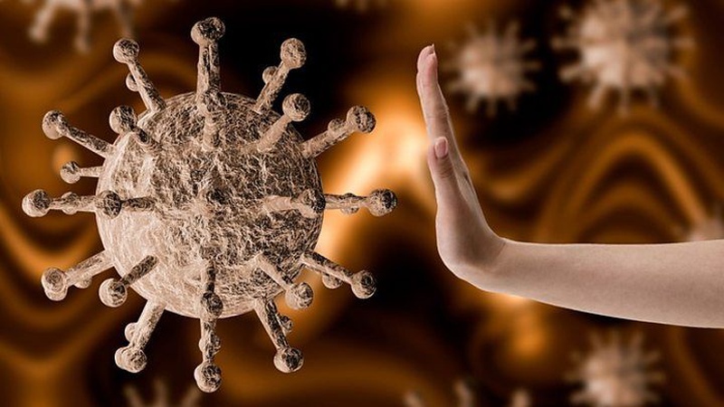 Có 2 chủng virus Corona khác nhau bạn cần biết 1