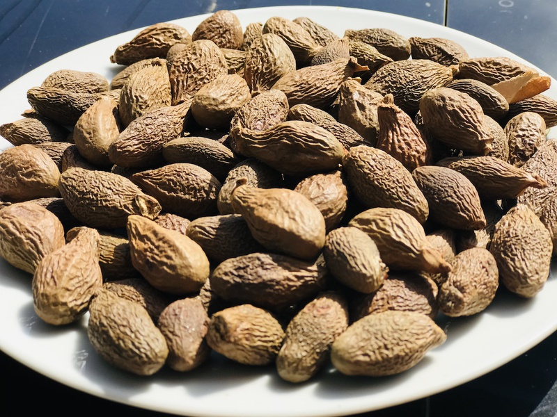 Có bầu ăn hạt ươi được không Cách ăn hạt ươi đúng 1