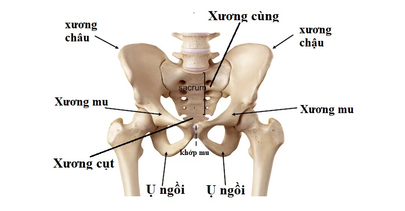 Có hay không tình trạng bong gân xương chậu? 1