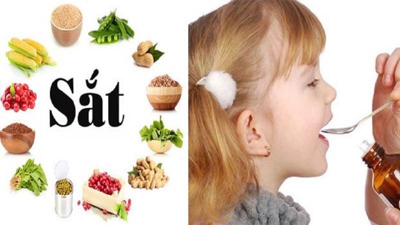 Nhu cầu sắt của trẻ tăng cao ở giai đoạn tăng trưởng nhanh, đặc biệt là trong giai đoạn 5 năm đầu đời