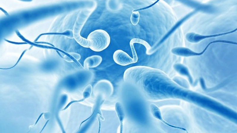 Đồng giới nữ cần có tinh trùng đủ thụ tinh nhân tạo