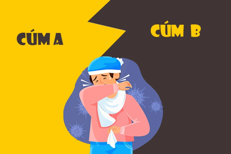 Cúm A và cúm B khác nhau như thế nào? Triệu chứng và cách điều trị cúm 1