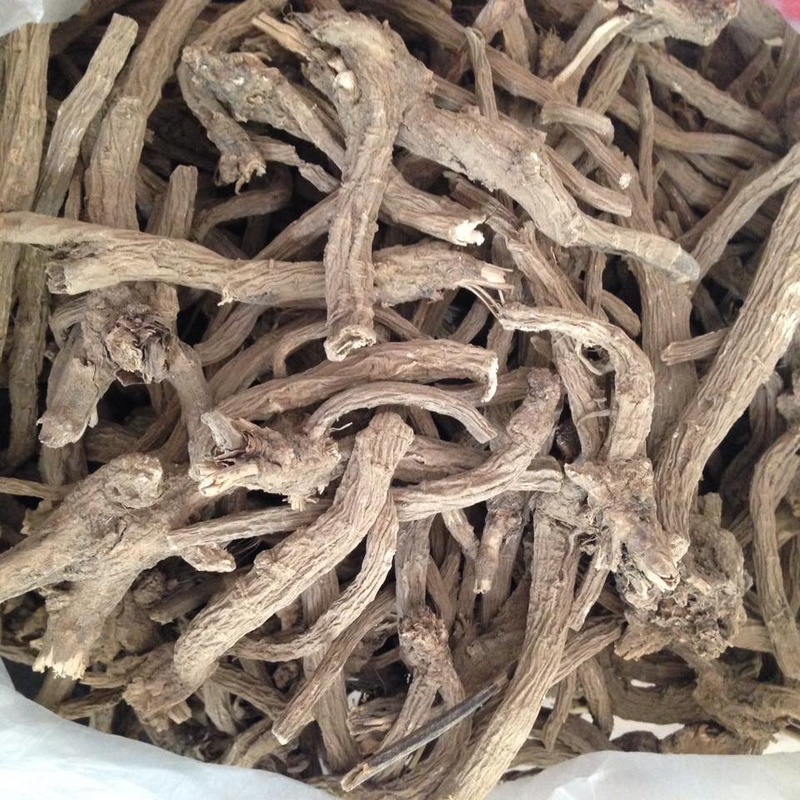 Danh sách 5 thuốc đông y trị gai cột sống an toàn 1