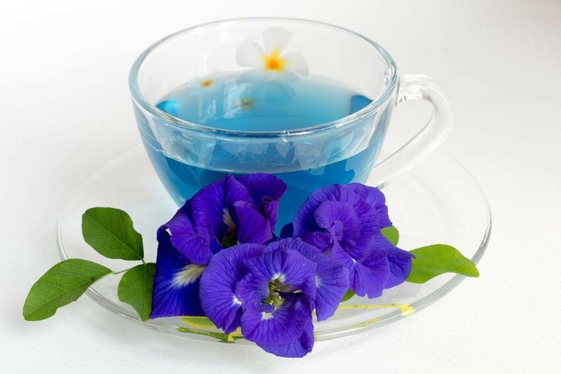 Uống trà hoa đậu biếc mỗi ngày có tốt không? Cách uống đúng là gì? 2