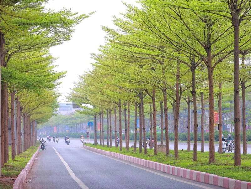Dấu hiệu bé bị lác mắt 3