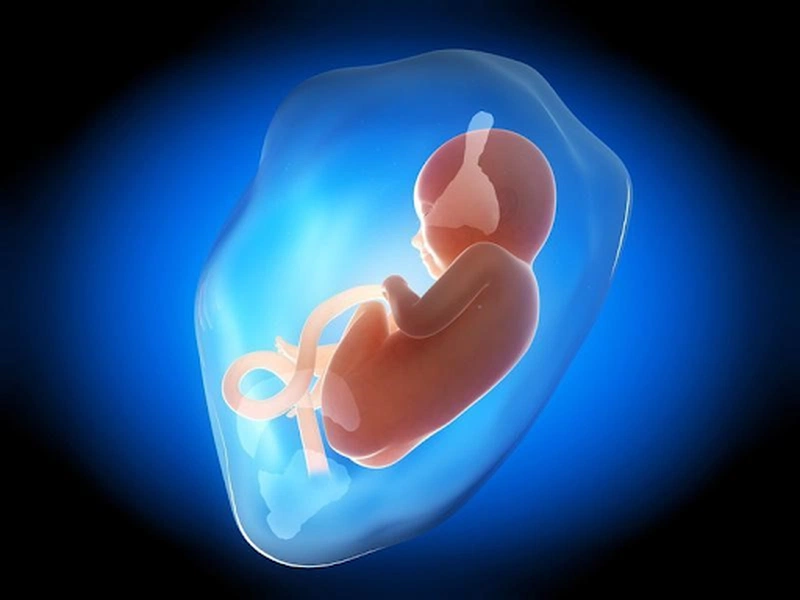 Dấu hiệu nhận biết hiện tượng thai lưu 3 tháng đầu 3
