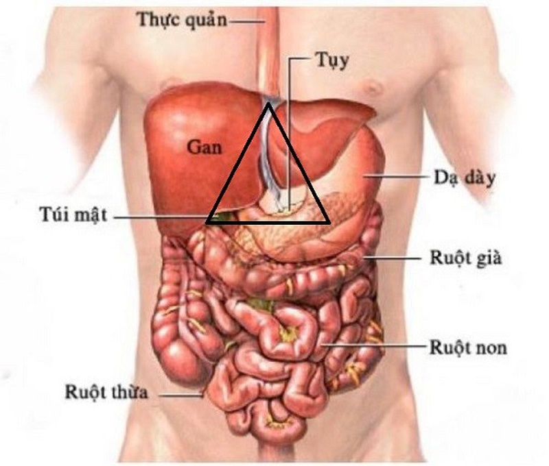 Đau vùng thượng vị vì sao? 2