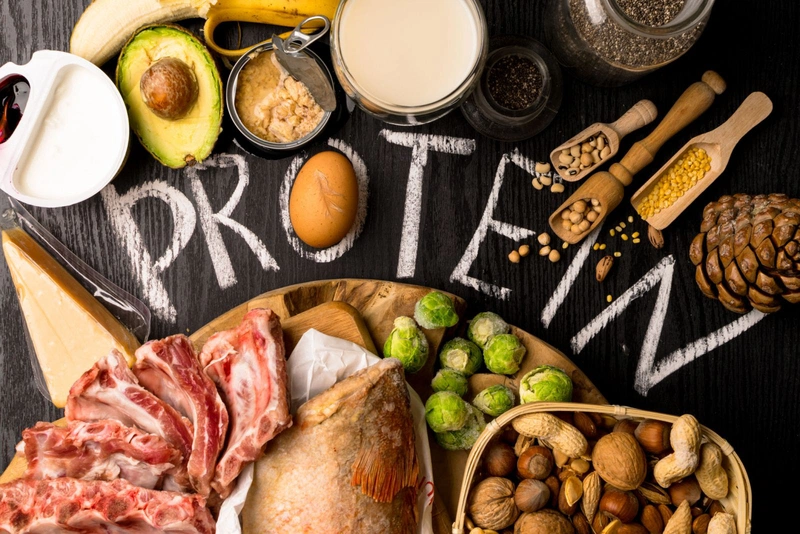 Đây là lí do vì sao bạn không nên tiêu thụ quá nhiều protein 1