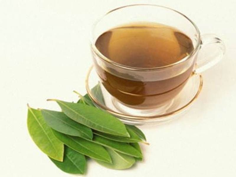 Dây thìa canh chữa tiểu đường-02