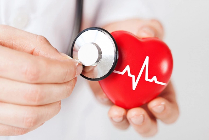 Giải đáp cho hội người ăn kiêng: Ăn hạt dẻ cười có béo không? 1