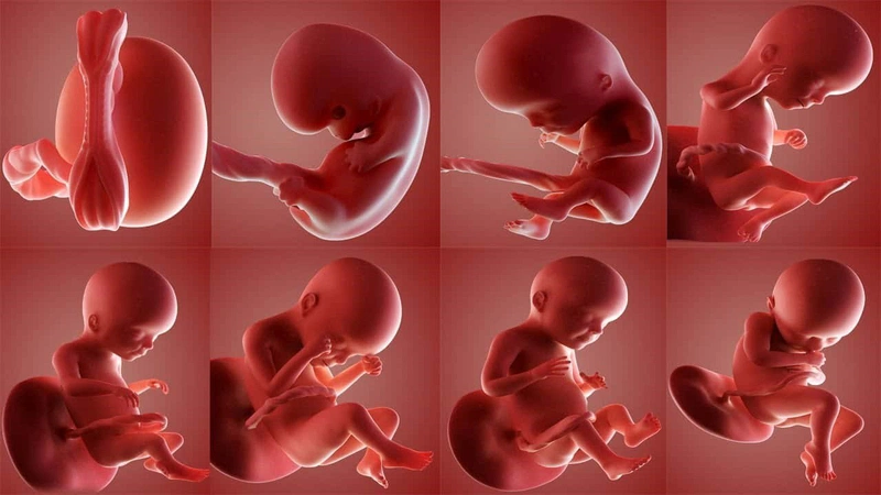 Tác hại nghiêm trọng của thuốc lá đến sức khỏe thai nhi 4