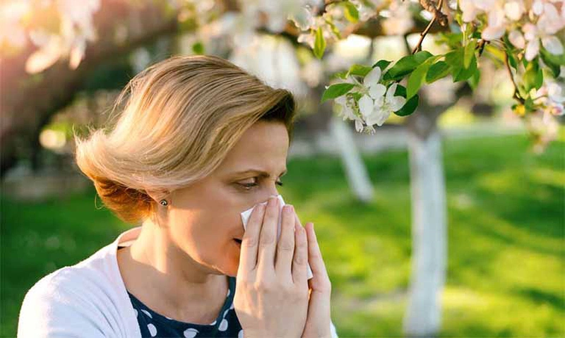 Dị ứng phấn hoa: Nguyên nhân và cách phòng tránh 1