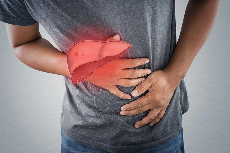 Điểm mặt các bài thuốc đông y mát gan giải độc hiệu quả nhất 1