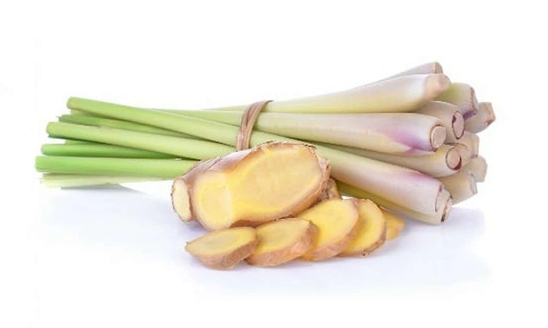 Điểm mặt các cách trị rụng tóc bằng sả dễ làm và hiệu quả nhất 4
