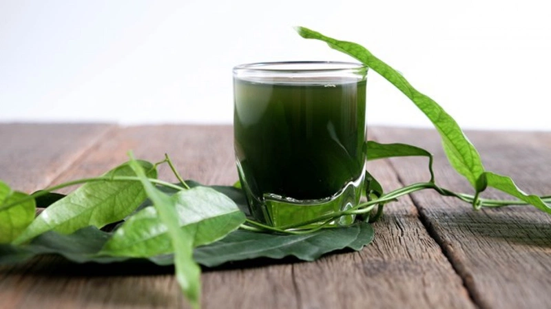 Diệp lục collagen có tác dụng gì? Cách sử dụng ra sao?2