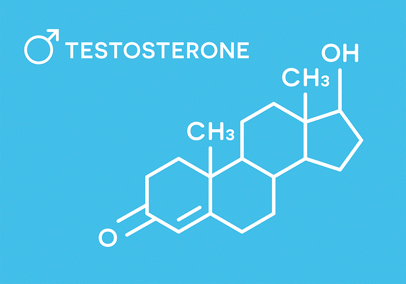 Hooc môn Testosteron không chỉ có ở nam giới