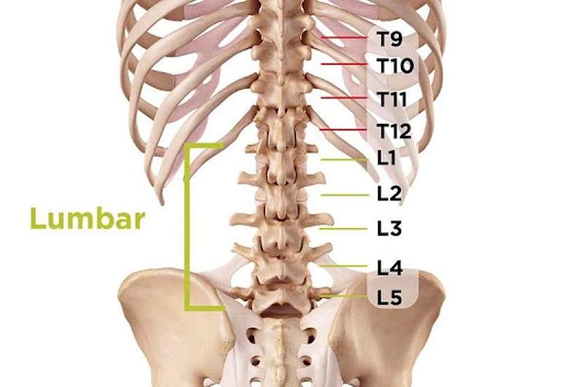 Thoái hóa đốt sống lưng L4 L5: Nguyên nhân, triệu chứng và phương pháp điều trị hiệu quả