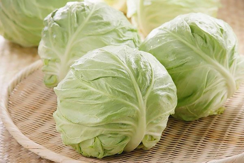 Dinh dưỡng từ rau: Cháo bắp cải cho bé ăn dặm1