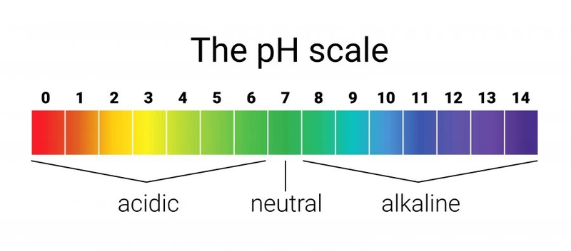 Độ pH là gì? Ý nghĩa của độ pH trong đời sống con người 1