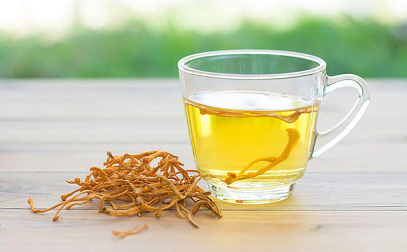 Đông trùng hạ thảo khô là gì? Công dụng và cách dùng hiệu quả