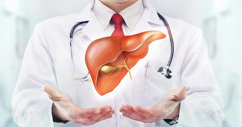 Doppelherz Liver Complex - Viên uống hỗ trợ giải độc gan, hạ men gan 2