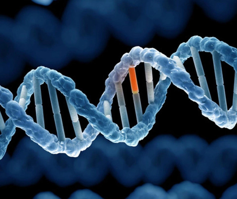 Đột biến gen là gì và có những loại đột biến gen nào 1
