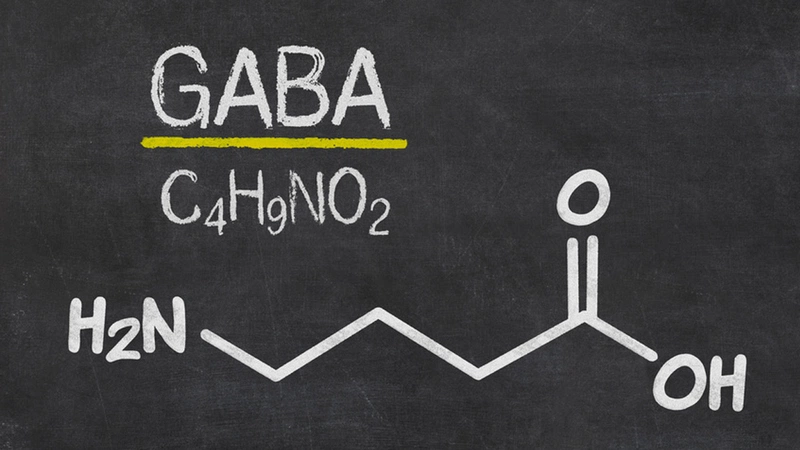 GABA là chất gì?1