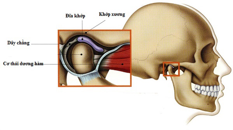 Gãy lồi cầu xương hàm dưới và những điều bạn nên biết 3