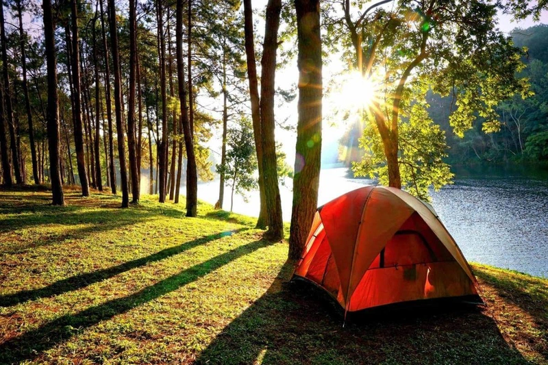Đi cắm trại nên đem những vật dụng y tế và loại thuốc nào? 4