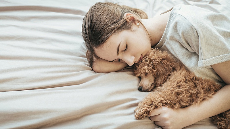 Hội chứng sợ ngủ một mình là gì? Những biện pháp để khắc phục 3