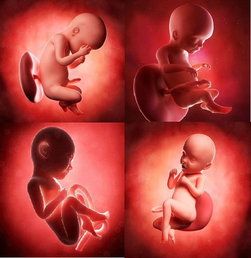 [GIẢI ĐÁP] Có nên làm xét nghiệm nipt không trong giai đoạn thai kỳ không? 2
