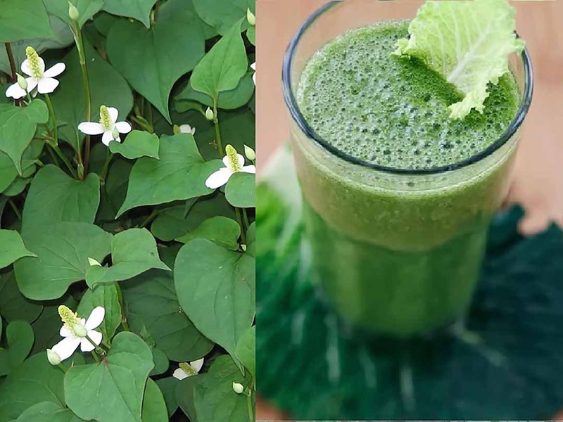 Người bị trĩ ở giai đoạn cấp độ 1 và 2 có thể sử dụng các bài thuốc dân gian để điều trị trĩ