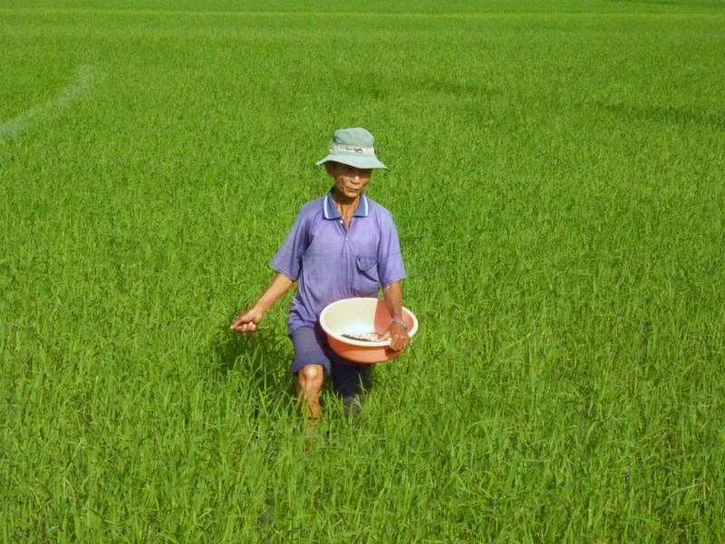 Giải đáp thắc mắc: Thế nào là ngộ độc hữu cơ?3
