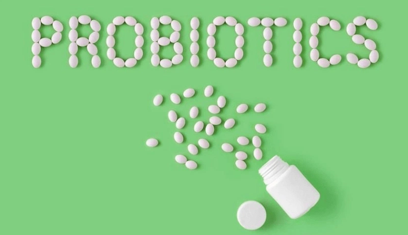 Probiotic giúp duy trì môi trường đường ruột khỏe mạnh