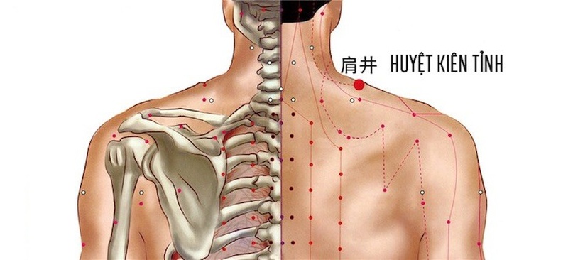 Giải mã các huyệt đạo vùng cổ vai gáy 3
