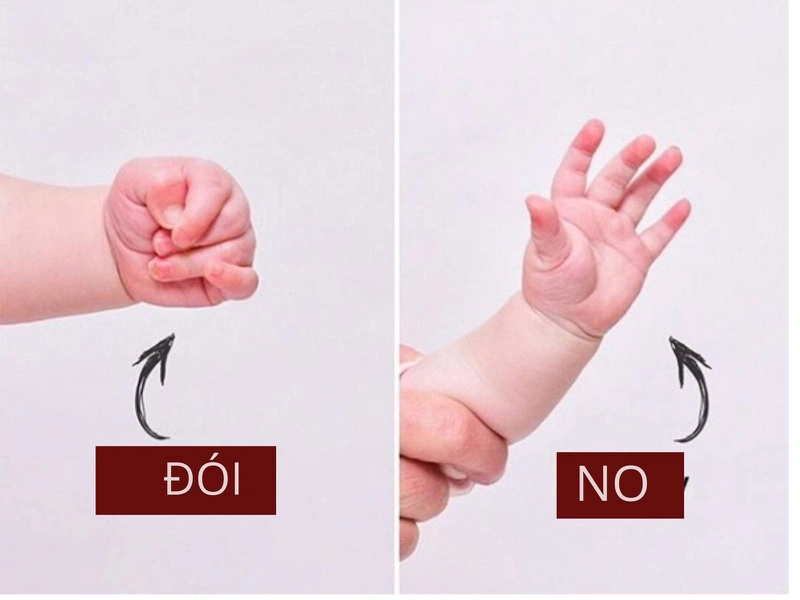 Nắm chặt tay là một dấu hiệu thể hiện tình trạng bé bị đói