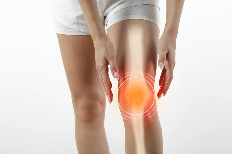 Giải phẫu khớp gối dưới góc nhìn chuyên khoa như thế nào? 1