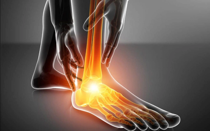 Giải phẫu xương bàn chân có gì đặc biệt? 4