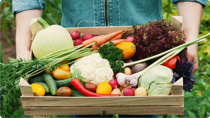 Giảm cân an toàn và hiệu quả với chế độ ăn Raw Vegan