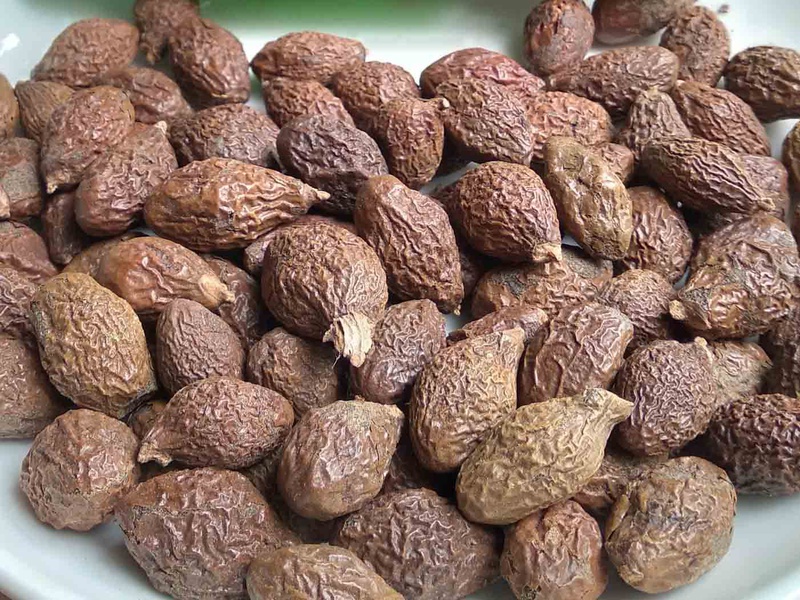 Góc chia sẻ: Bầu ăn hạt ươi được không 5 tác dụng tuyệt vời của hạt ươi 1