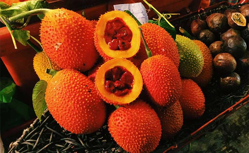 Góc giải đáp: Mẹo chữa bệnh trĩ bằng hạt gấc tại nhà như thế nào? 4