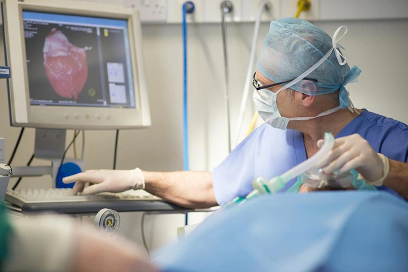 Nguyên nhân tạo ra polyp cổ tử cung có thể do viêm nhiễm lâu ngày