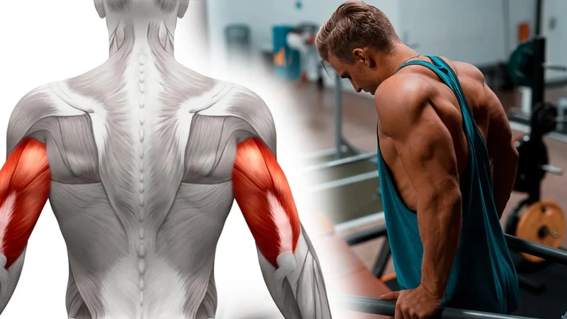 Gợi ý cách tập tay sau với tạ đơn kích thích cơ bắp phát triển 1