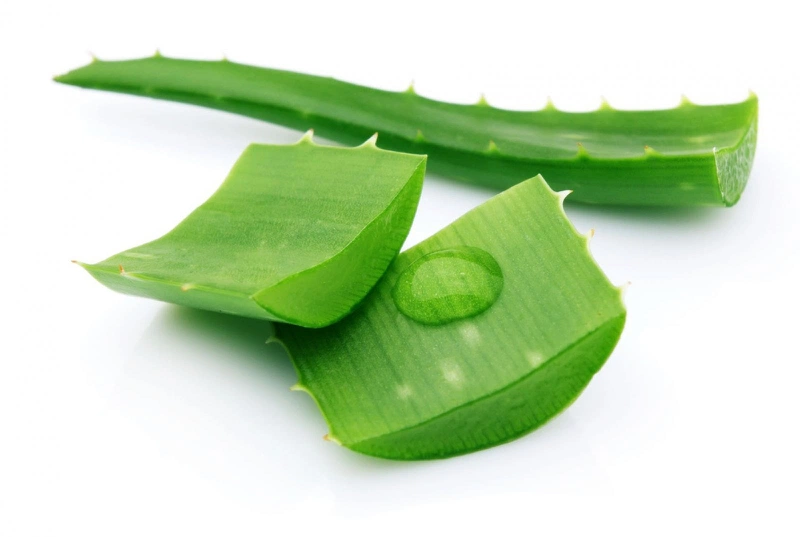 Cách giảm ngứa vùng kín nhanh nhất với nha đam 