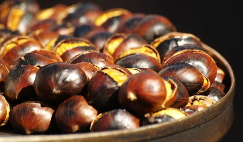 Hạt dẻ bao nhiêu calo? Ăn hạt dẻ có béo không? Một số lợi ích khi ăn hạt dẻ