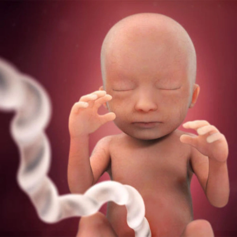 Hạt hạnh nhân có tác dụng gì cho bà bầu? 3
