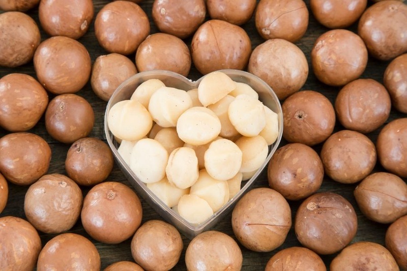 Hạt macca có tác dụng gì 2