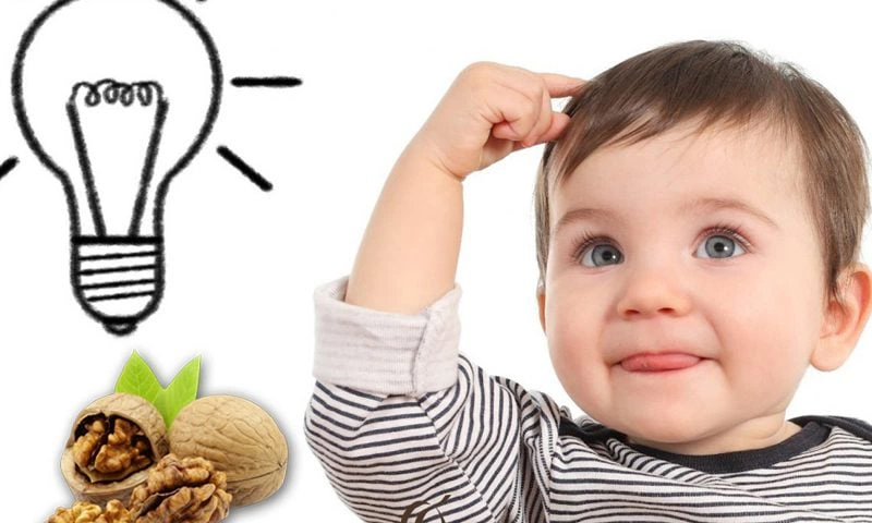 Hỏi đáp về dinh dưỡng: Ăn hạt óc chó có tác dụng gì? 4