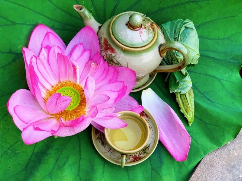 Hạt sen có tác dụng gì? Vỏ hạt sen uống được không? 5
